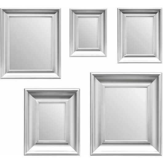 Silver Frame 5pc Mirror Set - Premier Housewares
