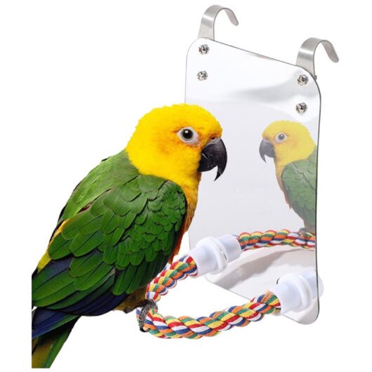 Cyslmuk - Bird Mirror Toy with Rope, Parrot Hanging Toy Large Mirror Chew Toy for Parrot Budgie Pet Supplies (Size : Acrylic)